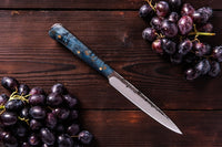 The Palladin: Set of 5 Chef Knives (Spring Steel, D2 Steel are also available) with Sheath-Kitchen Knives
