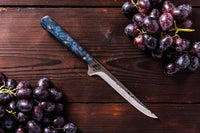 The Palladin: Set of 5 Chef Knives (Spring Steel, D2 Steel are also available) with Sheath-Kitchen Knives