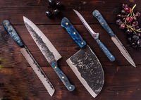 The Palladin: Set of 5 Chef Knives (Spring Steel, D2 Steel are also available) with Sheath-Kitchen Knives
